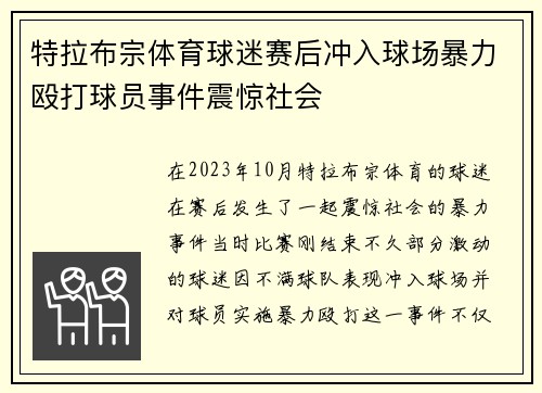 特拉布宗体育球迷赛后冲入球场暴力殴打球员事件震惊社会 特拉布宗体育球迷赛后冲入球场暴力殴打球员事件震惊社会